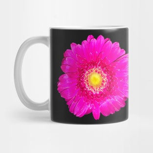 Single intensely bright neon pink daisy close up - summer summer summer ! Mug